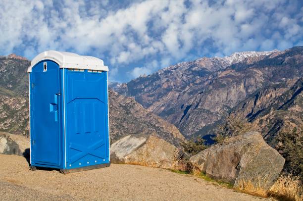 Best Affordable portable toilet rental  in Minier, IL